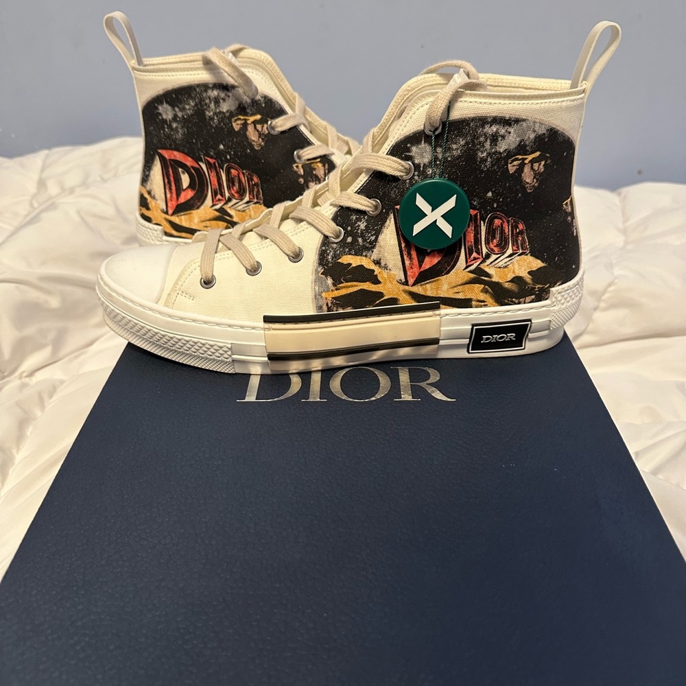 Dior B23 High Top AsteroDior White